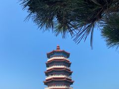 -八仙过海景区