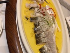-老绍兴养和饭店(向阳不夜城店)
