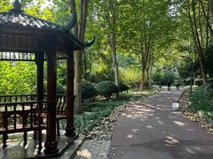 -滨湖塘西河公园