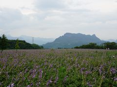 -山王坪喀斯特国家生态公园