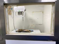 -德元·美联众合24小时动物医院(总院)