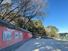 -妙峰山风景名胜区