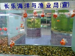 -福州长乐国际机场