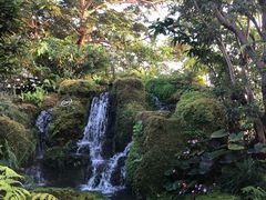 -Chom Cafe and Restaurant