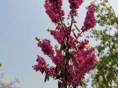 -铁道游击队纪念馆