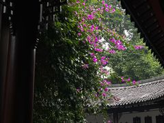 -成都杜甫草堂博物馆