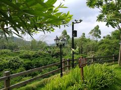 -龙山酒店温泉