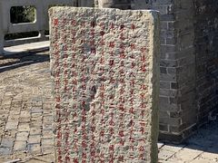 -上海佘山国家森林公园天马山园