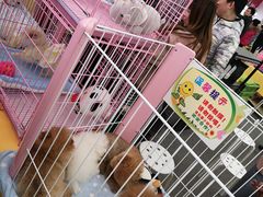 -银泰百货(北京大红门店)