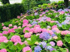 -金银湖国家城市湿地公园