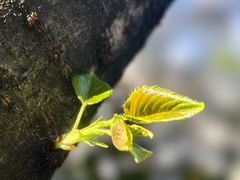 -杭州城北体育公园