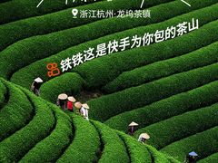 -华祥苑茶馆•国缤茶小蓝罐(普罗旺斯店)