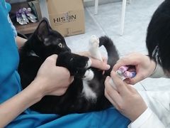 -安安宠医·臻爱宠物医院·宠保定点(营门口路分院)