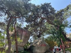 -崂山仰口游览区