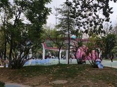 -张店儿童公园