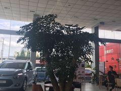 -上海先进东风标致雪铁龙4S店(青浦店)