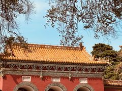 -北陵公园