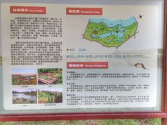 -五缘湾湿地公园