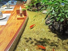 -森味薪火烧•烧鸟居酒屋•日本料理(望京店)