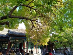 -张学良旧居陈列馆