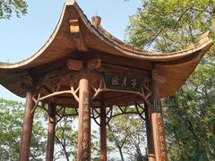 -大屏嶂森林公园