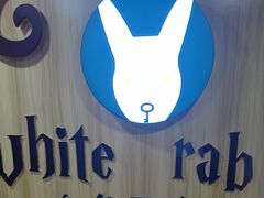 -白兔子密室(长寿路店)