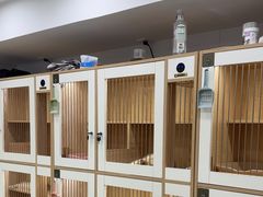 -爱洗澡的猫(天河路店)