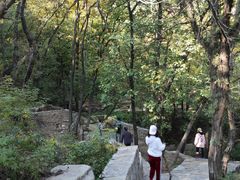 -北京上方山国家森林公园