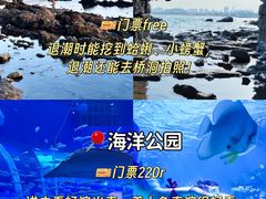 -巧克力渔家.小船海鲜胶东菜(万平口店)