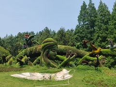 -东平国家森林公园