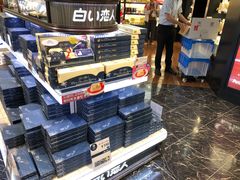 -中部国际机场
