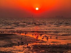 -老虎石海上公园