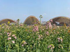 -中国天府农业博览园