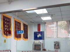 -利又安动物医院··老年病·猫科犬科·中兽医