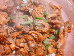 -成老灶火锅鸡(高东街店)