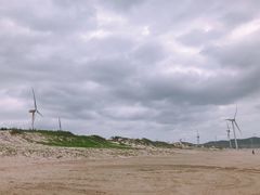 -长江澳风力发电景观区