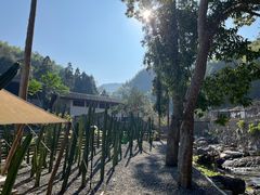 -MOJ coffee(瓯海泽雅水碓坑店)