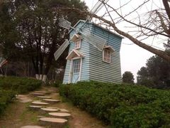 -铁山坪森林公园