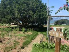 -惠州金海湾嘉华度假酒店