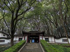 -上海佘山国家森林公园天马山园