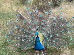 -上海动物园(地铁站)