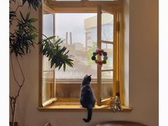 -春风十里咖啡馆