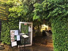 -Fern Forest Cafe