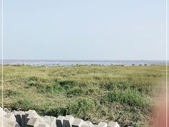 -碧海金沙