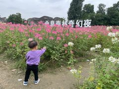 -秀丽东方
