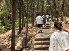 -云龙山