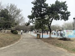 -莫子山公园