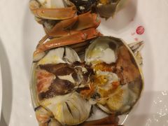 清蒸大闸蟹（母）-万宝海鲜舫(劳动公园店)