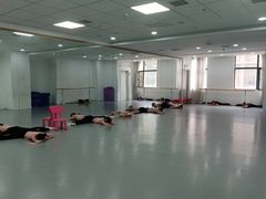 -西安小天鹅艺术团(金花路校区)