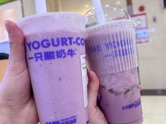 -一只酸奶牛(百联南岸上海城店)